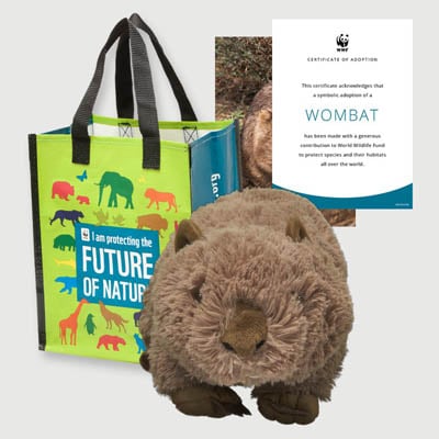 wombat Plush adoption kit