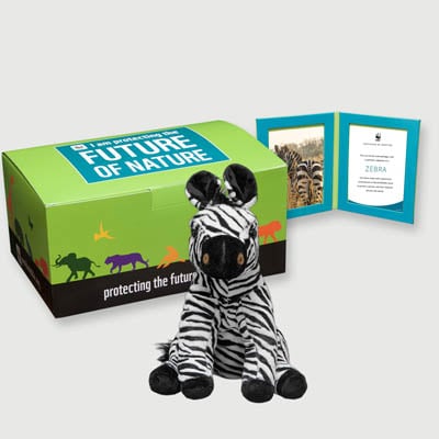 zebra Plush, box + frame adoption kit