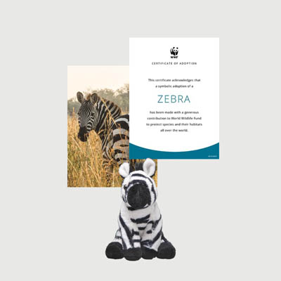 zebra Mini plush adoption kit