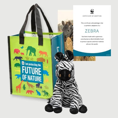 zebra Plush adoption kit