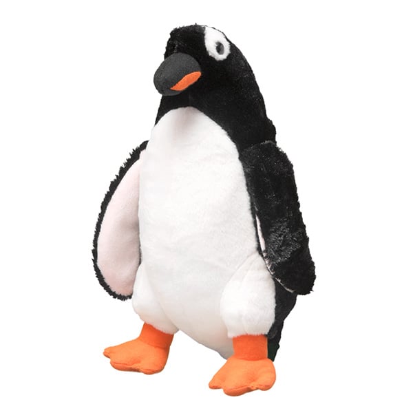 Gentoo Penguin