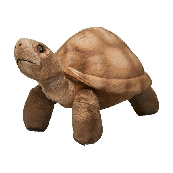 Giant Tortoise