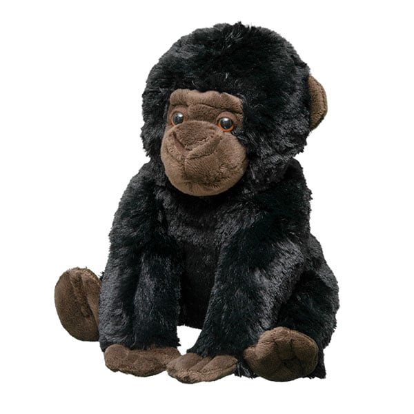 Gorilla Infant