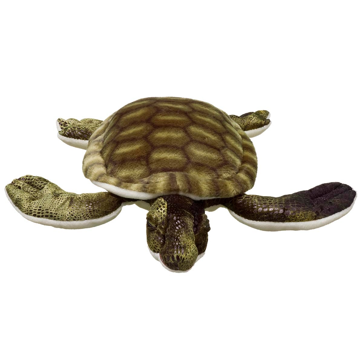 Green Turtle