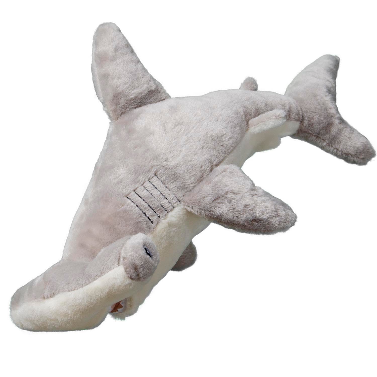 Hammerhead Shark