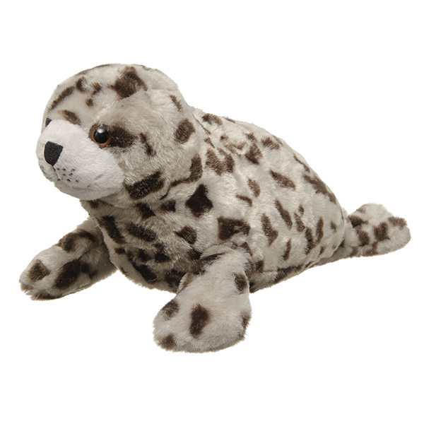 Harbor Seal
