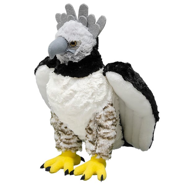 Harpy Eagle