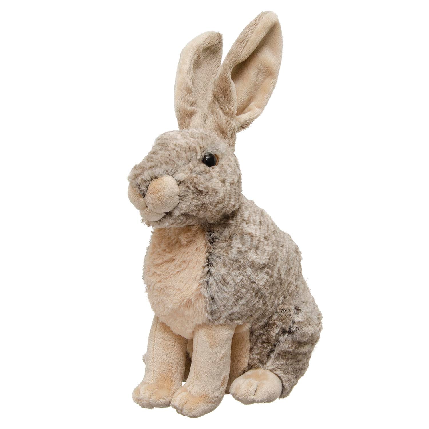 Jackrabbit