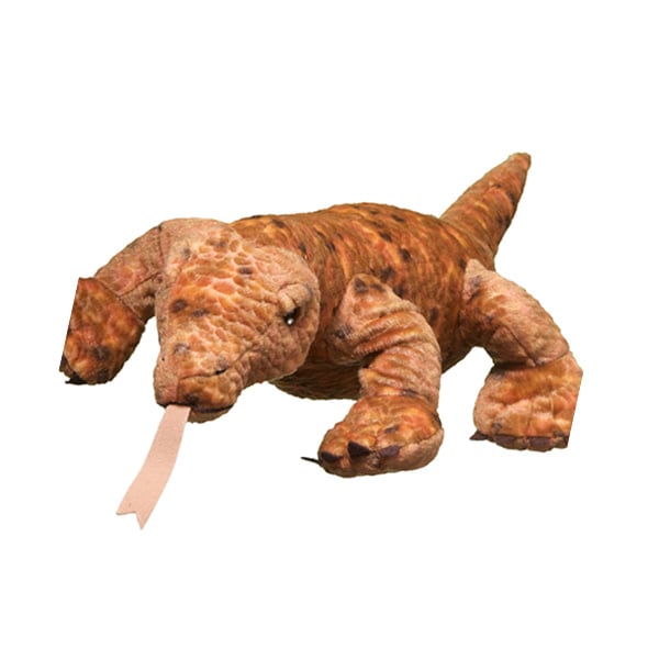 Komodo Dragon