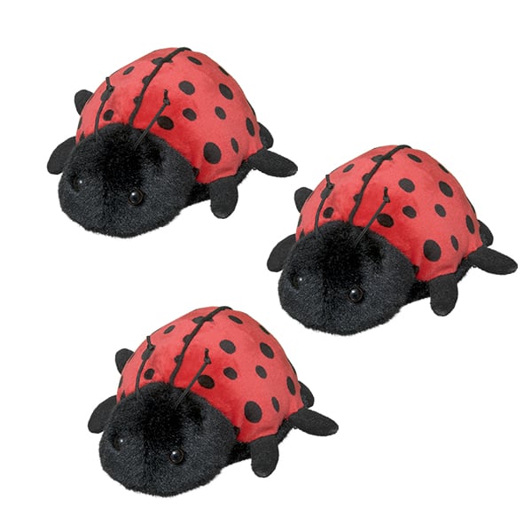 Ladybug