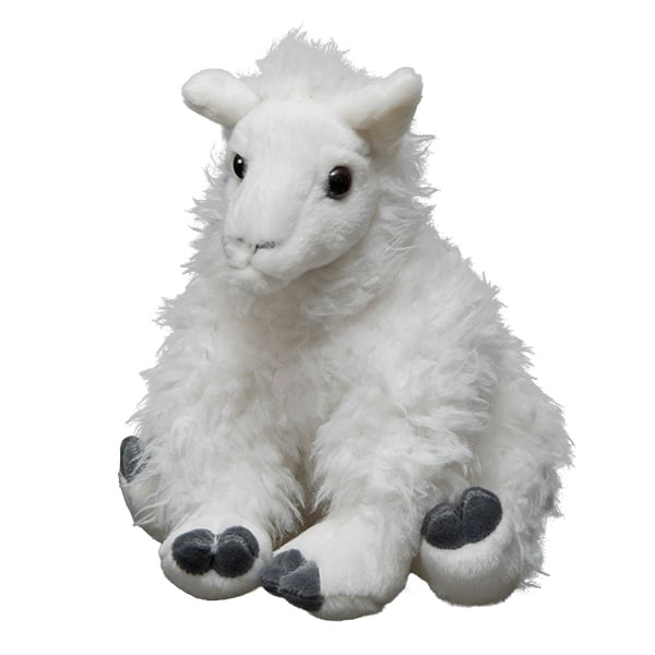Llama