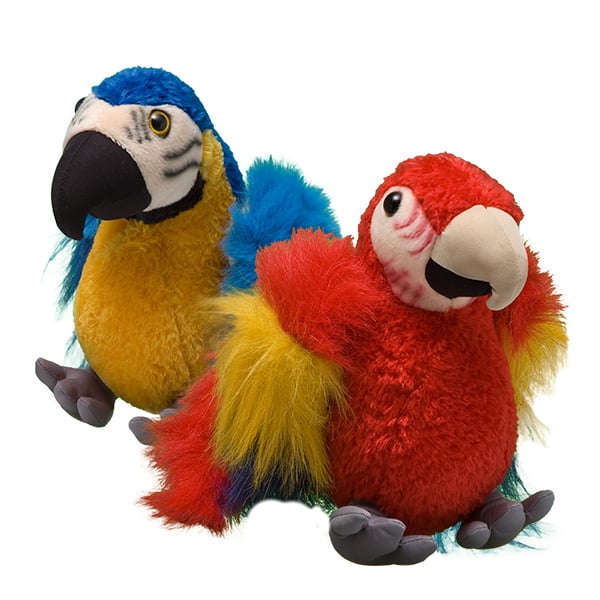 Macaw