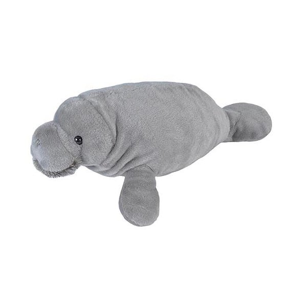 Manatee