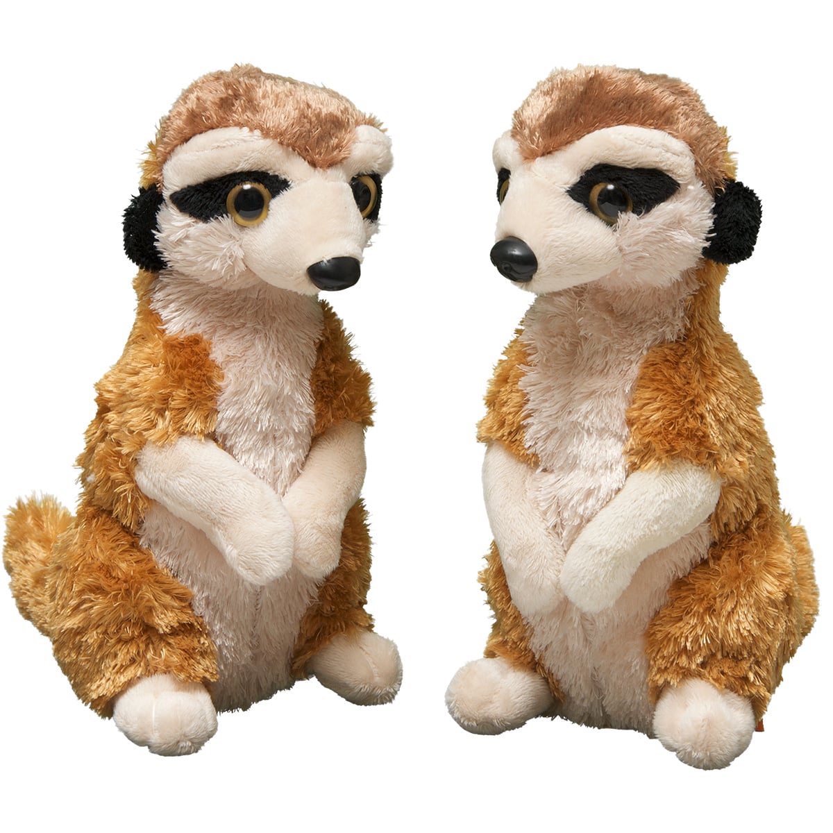 Meerkat