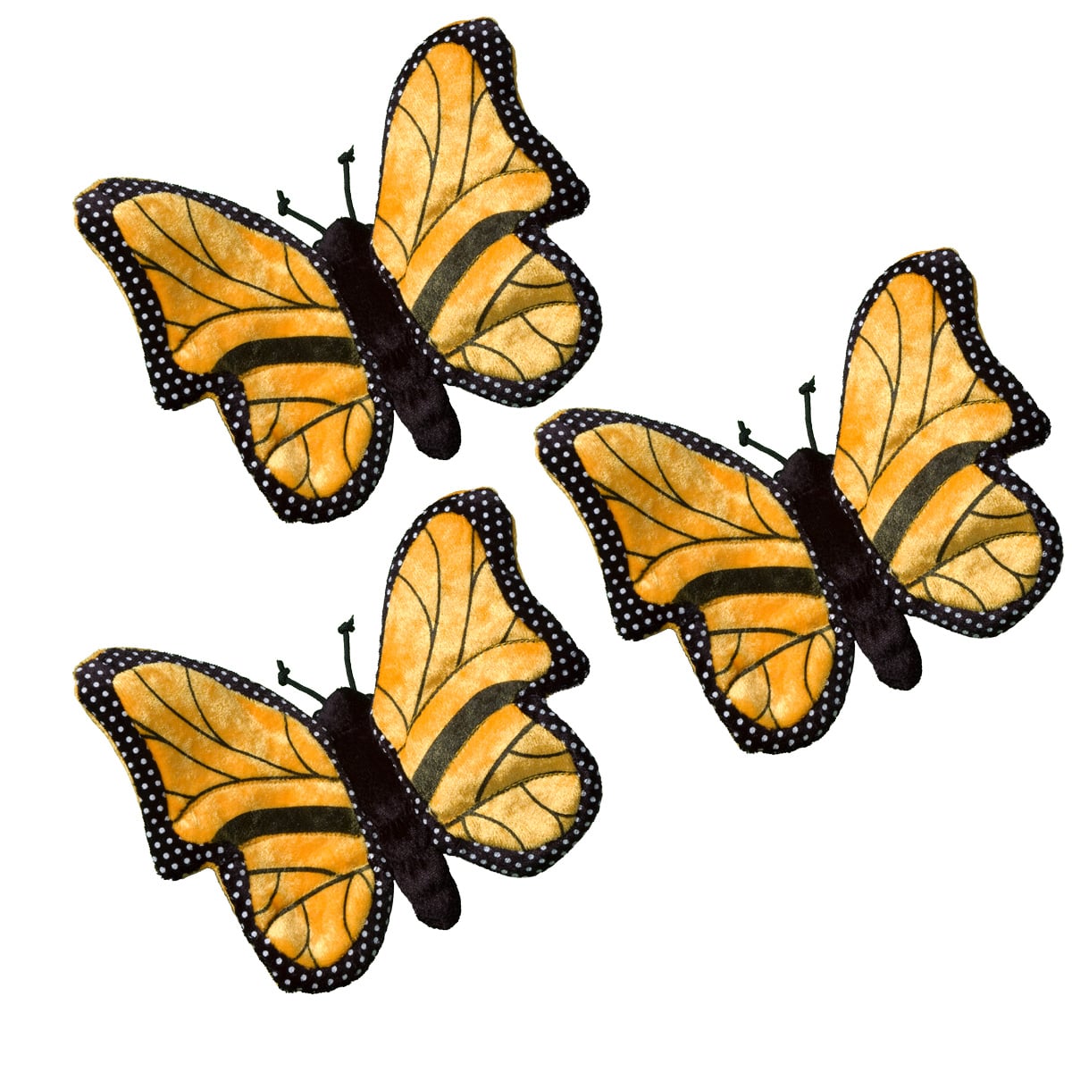 Monarch Butterfly