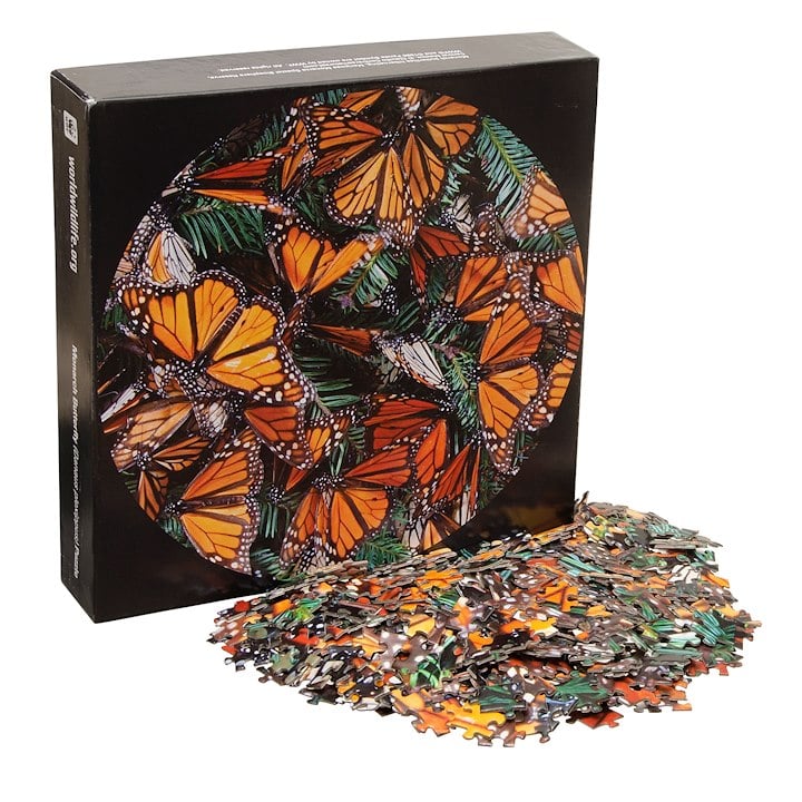 A monarch puzzle box with a pile of puzzle pieces
