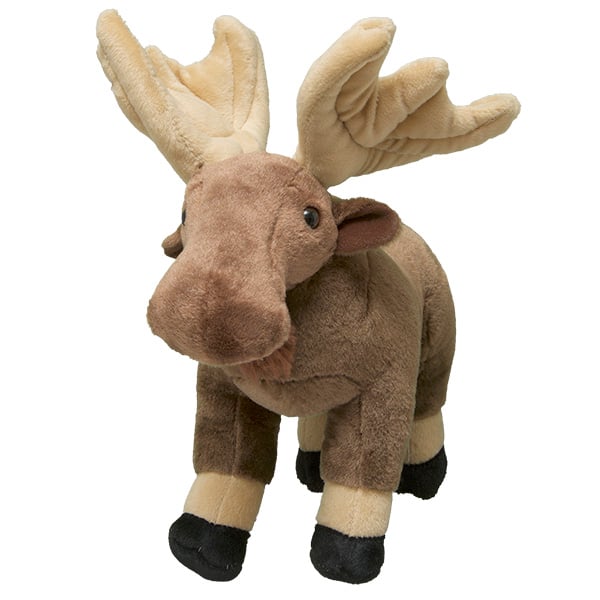Moose