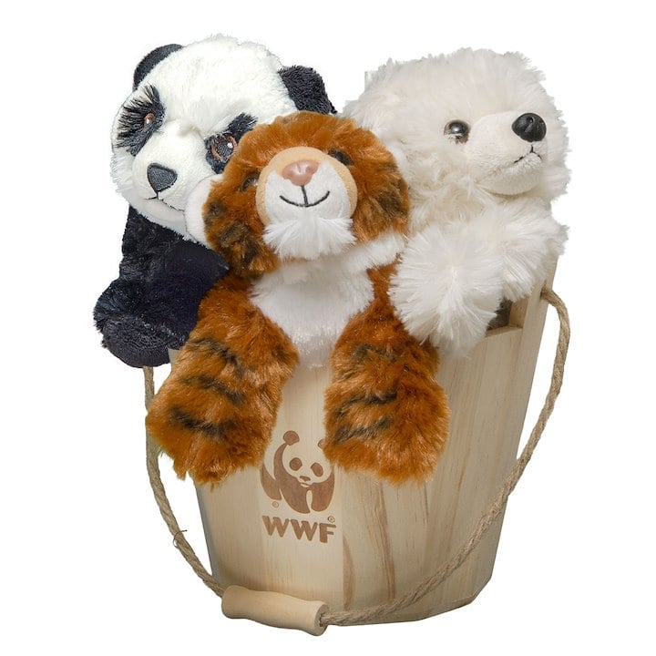 Most Popular Bucket