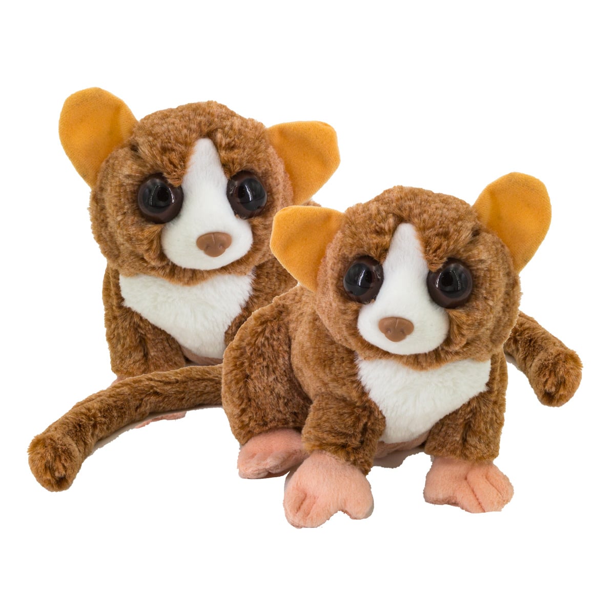 Mouse Lemur