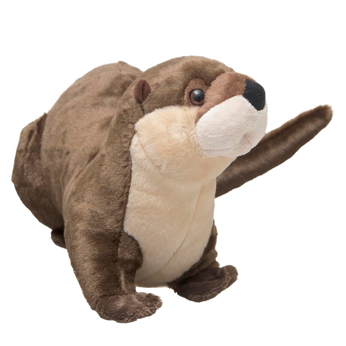 North American River Otter