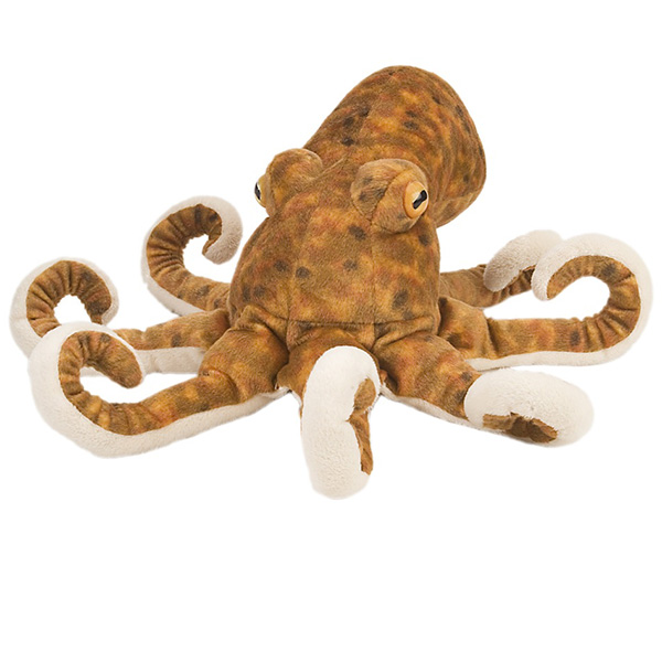 Octopus