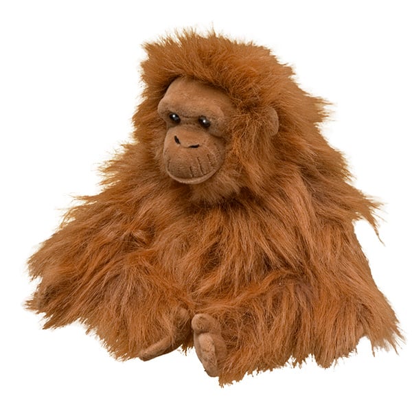 Orangutan (female)