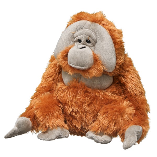 Orangutan (male)