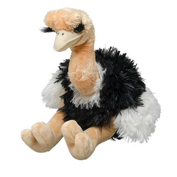 Ostrich