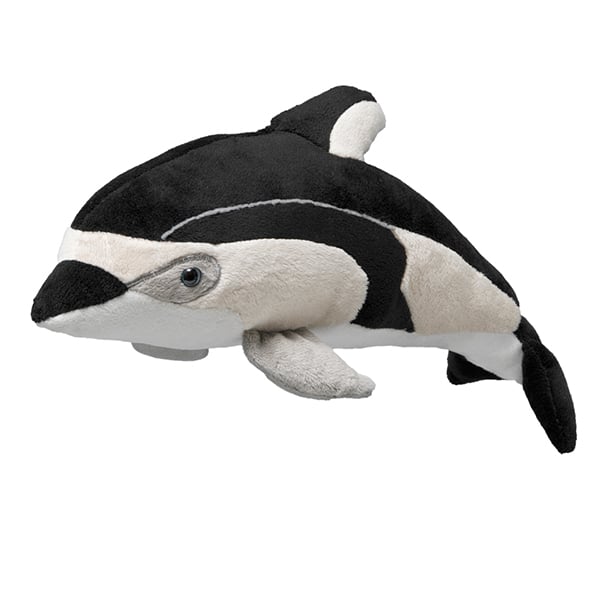 Pacific White-sided Dolphin