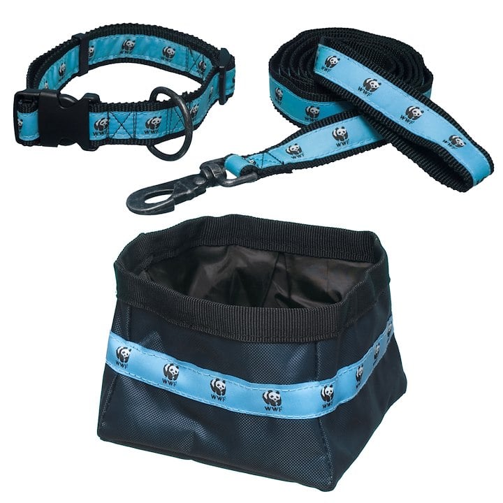 Two dog leashes and a collapsible water ball
