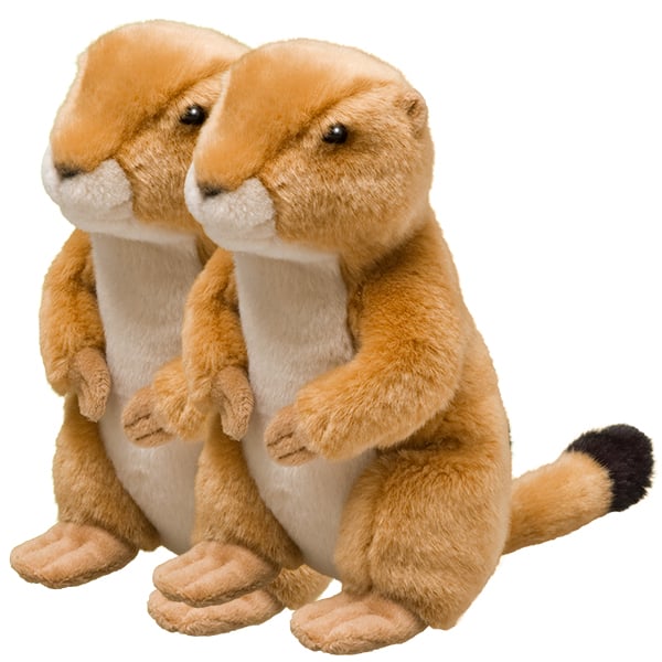 Prairie Dog