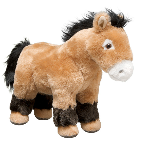 Przewalski's Horse
