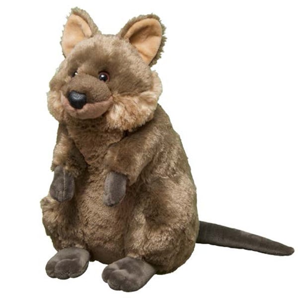 Quokka