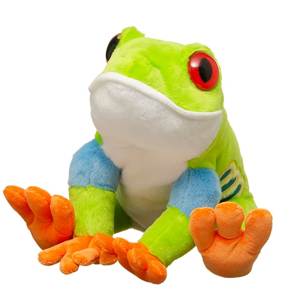 Red-Eyed Tree Frog