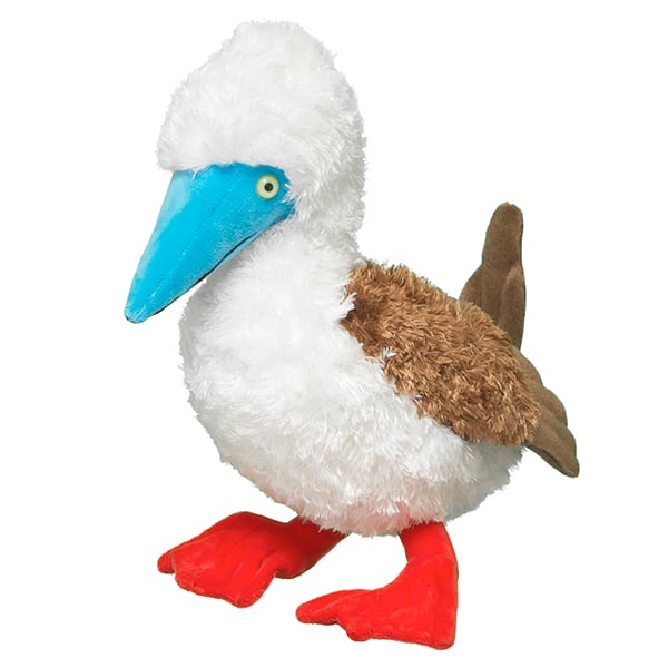 Red-footed Booby