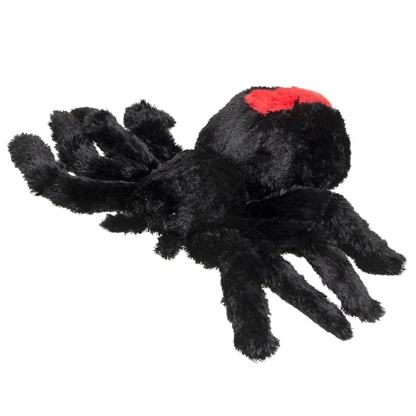 Redback Spider