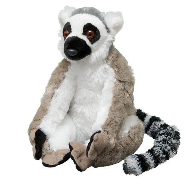 Ring-Tailed Lemur