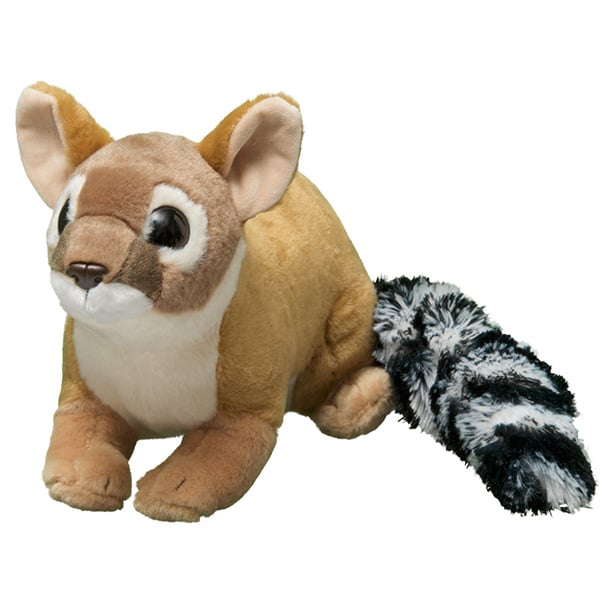 Ringtail