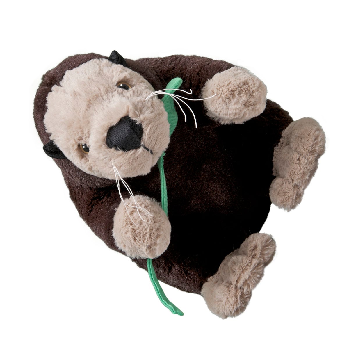 Sea Otter