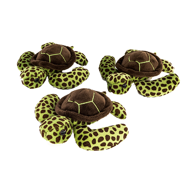 Sea Turtle Hatchling