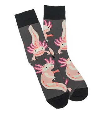 Axolotl Socks