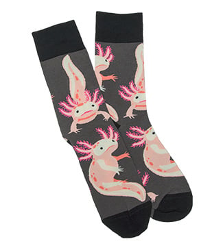 Axolotl Socks