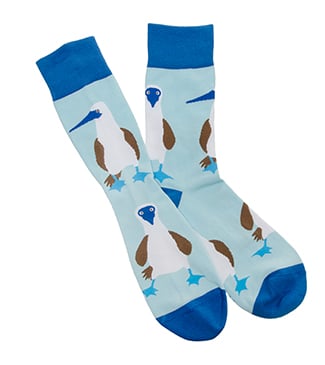Blue-Footed Boobies Socks