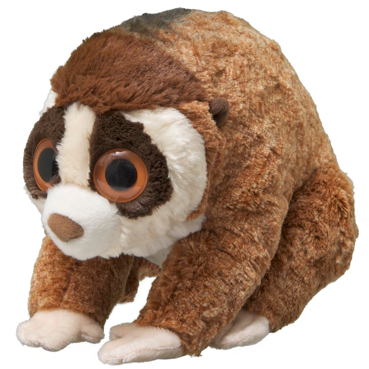 Slow Loris