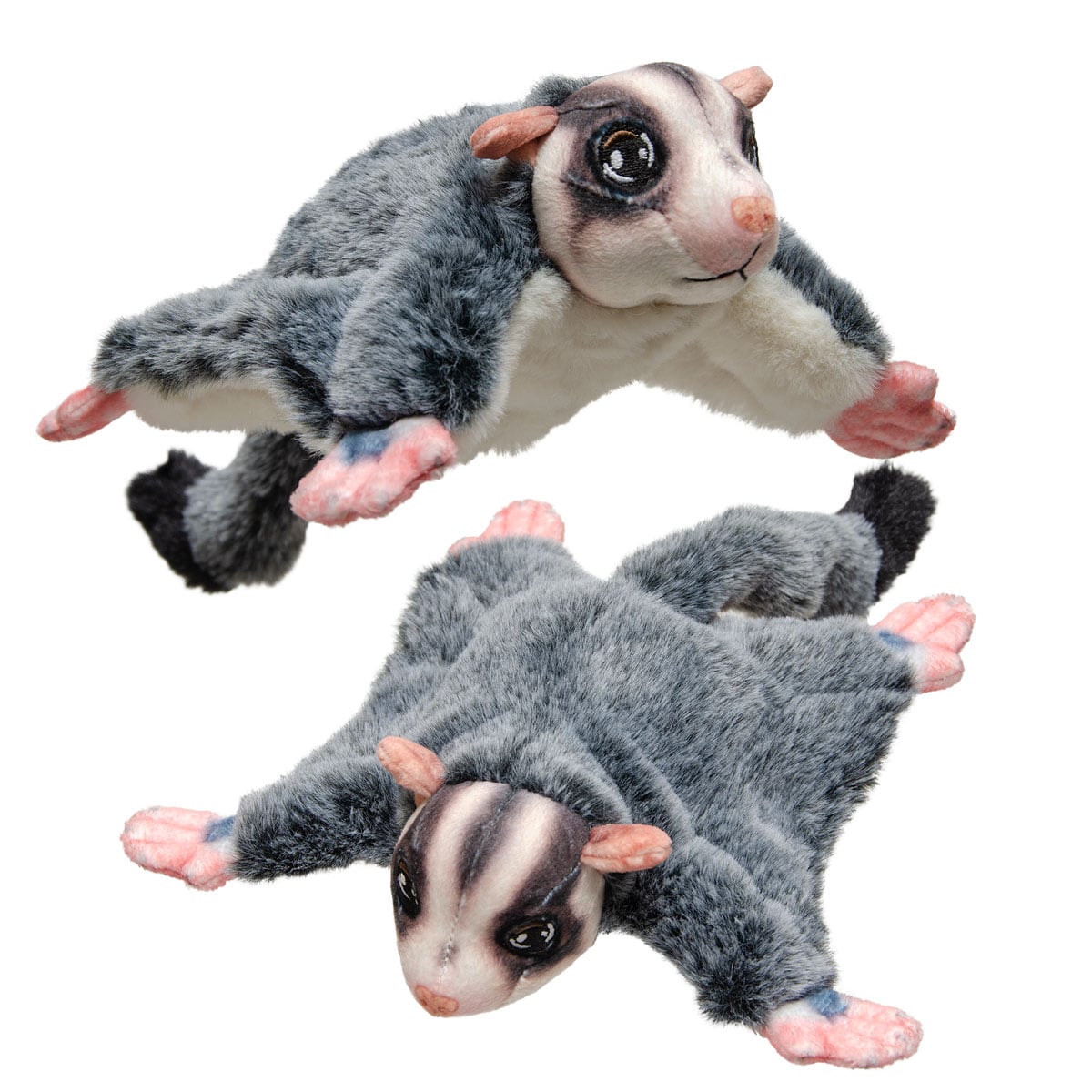 Sugar Glider