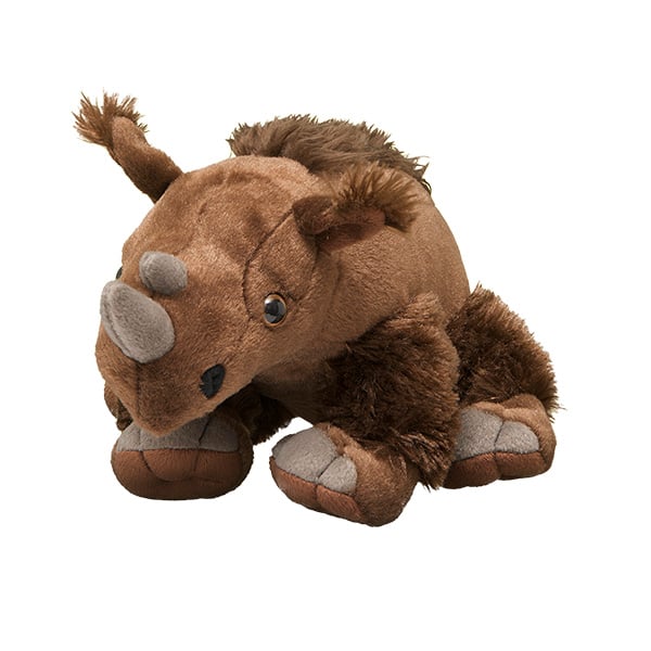 Sumatran Rhino