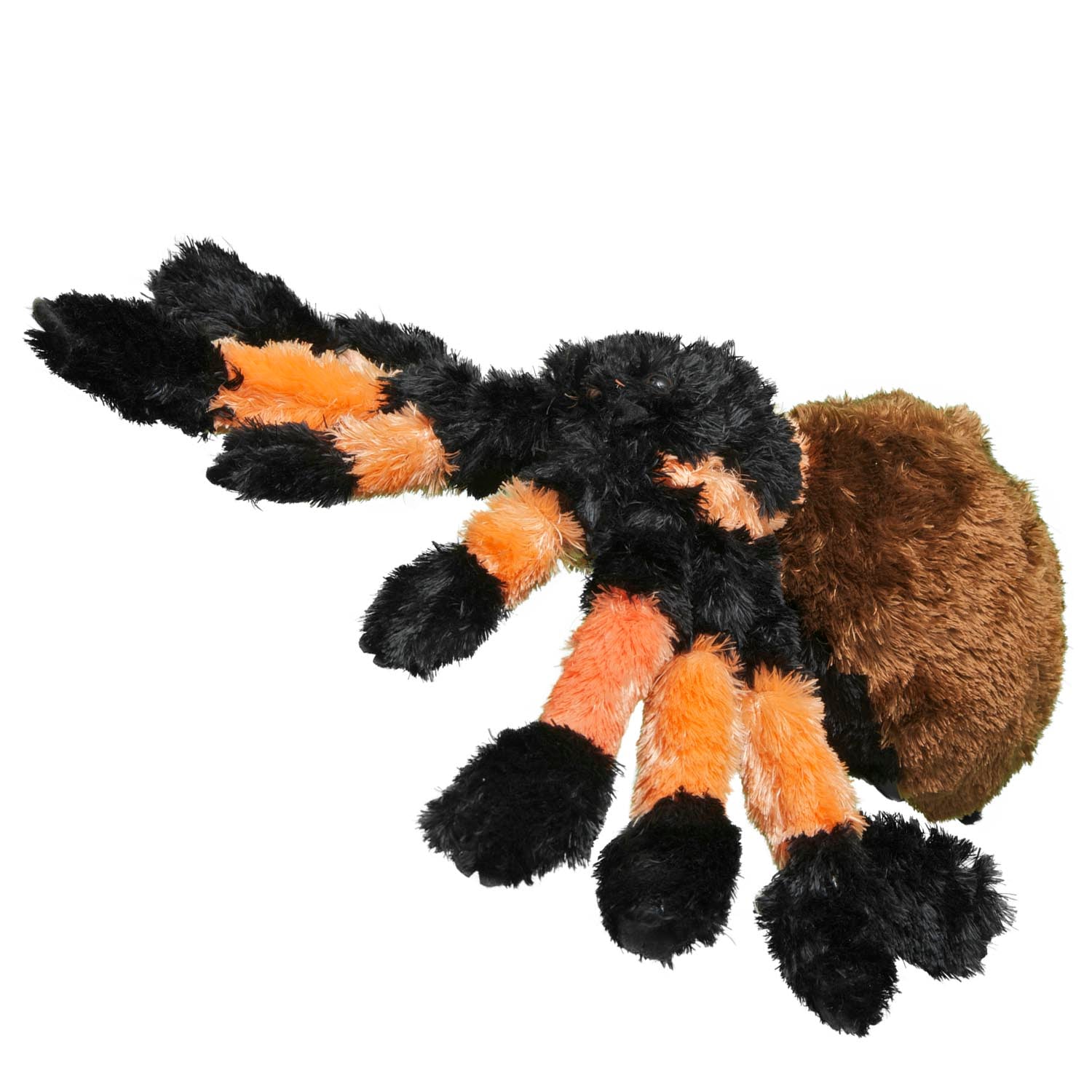 Tarantula