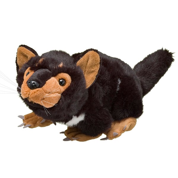 Tasmanian Devil