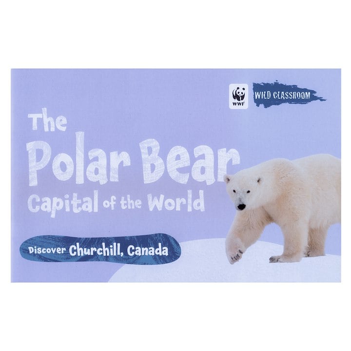 A polar bear on a purple background cover