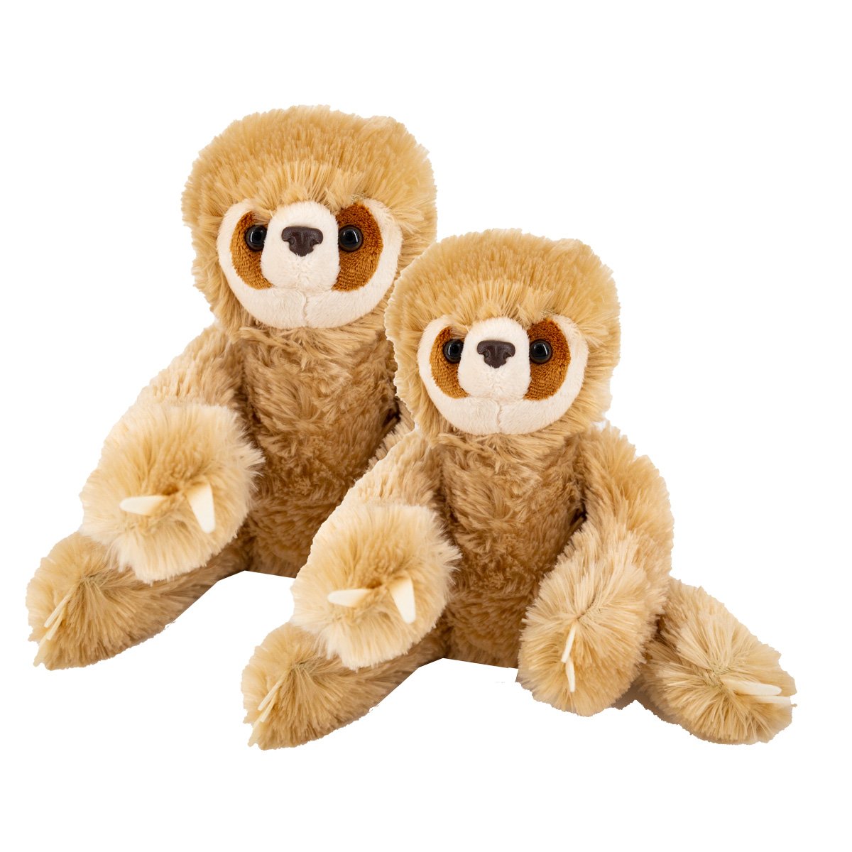 two two-toed sloth plush